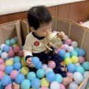 튼튼한어린이집 | 세척 간편하고 튼튼한 어린이집 아기 빨대컵 추천, 블루마마 빨대컵