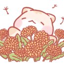 한들초교병설유치원 이미지