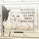 청산-비상2호 | 말도많고 탈도많은 10월 드뎌 끝