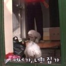 동원건강원 - 연천군 연천로252번길 9-15 | 동원건강원