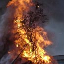 봉황초등학교 이미지