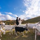 산기슭목장 이미지