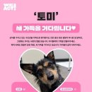 토미기획
