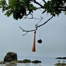 포항시남구호미곶면대동배보건진료소 | [공지] (코리아둘레길) 해파랑길 15코스 (HAEPARANG TRAIL Course No. 15, 2025.06.16.)