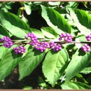 마음의집 이미지