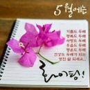 대재개발 이미지