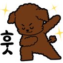521펫살롱 이미지