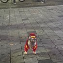 멍글멍글 이미지