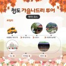 가을나드리투어 이미지