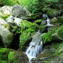 개인약수 이미지