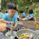 5월4주 - 서정 숲에서 흙놀이를 해요!! 이미지