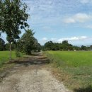 큰사랑농장 이미지