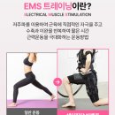 직장인 뱃살 다이어트, 에르고바디 쉐이피 EMS 텐미닛벨트 저주파 마사지기로 하루 20분 완성
