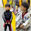 키즈태권도 이미지