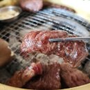 홍성한우 이미지