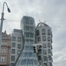 광장빌딩 | 프라하 댄싱빌딩 솔직후기, 생각보다 작다? 구시가지 광장 근처 산책코스 추천