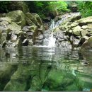 오늘도 신선 이미지