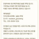 늘봄 그루밍 이미지