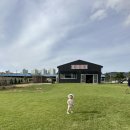 선우목장 | 목장053/ 15갤 아기랑 함께