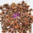 꽃차&약선차 이미지