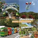 보성군청소년수련원 | 2026년 보성다향대축제 후기｜오픈 첫날 다녀왔어요 (주차 꿀팁·무료체험 총정리)