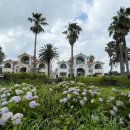 제니빌 | 제주 남원 숙소 오션뷰 서귀포 가족펜션 제니빌펜션 후기