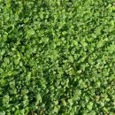 행운당구장 이미지