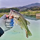 왕숙천 자전거도로20 이미지