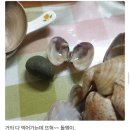 어느 칼국수 체인점의 가게소개 이미지