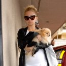 리치동물병원 이미지