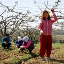 농부의딸 이미지