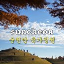 정원 | 순천 가볼만한곳 순천만 국가 정원 후기