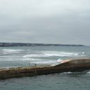 뿔들의 섬 이미지