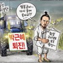 11월25일 Daum카페
