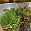 삼도상사 이미지