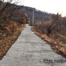 뒷동산농원 이미지