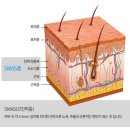 여름철 늘어진 내 피부, 탄력적으로 만들자 ! 얼굴 브이라인 리프팅 이미지