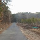 순천동산여자중학교 이미지