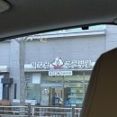 이모란 동물병원 이미지