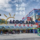 바베큐랜드 티스토리