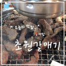 초원갈매기 이미지