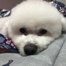 더가든파티/주식회사채움푸드 | 2021년 청년내일채움공제 2년형 가입완료 후기ㅎㅅㅎv