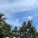 아남세탁 | 나트랑 배달어플 배달K 더아남 해산물 배달 맛집 추천