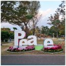 고성국화꽃향기 | 부산 가을나들이 평화공원 국화축제 기간 주차장 맛집