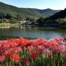 용천사입구 이미지