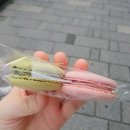 중앙동237 이미지