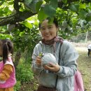 대림2농장 이미지