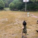 금원수목원수영장 이미지