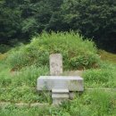 이종무장군대마도정벌 이미지