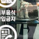 송송펫 이미지